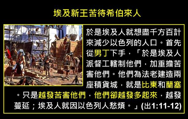 %e6%8a%95%e5%bd%b1%e7%89%87004