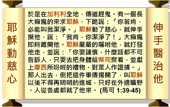 %e6%8a%95%e5%bd%b1%e7%89%87004