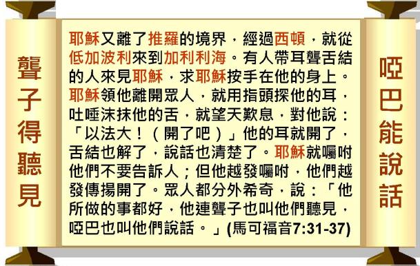 %e6%8a%95%e5%bd%b1%e7%89%87029