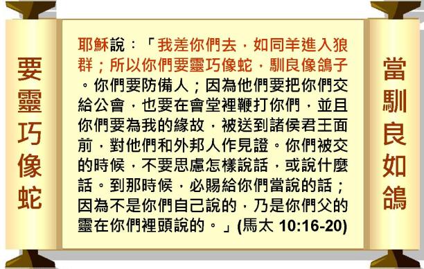 %e6%8a%95%e5%bd%b1%e7%89%8757