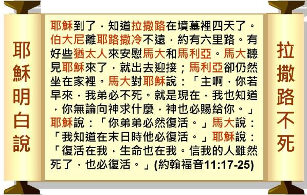 %e6%8a%95%e5%bd%b1%e7%89%87095