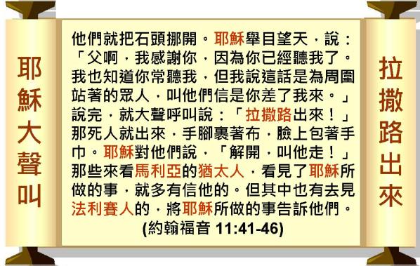 %e6%8a%95%e5%bd%b1%e7%89%87098