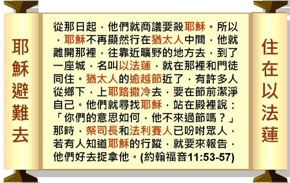 %e6%8a%95%e5%bd%b1%e7%89%87100