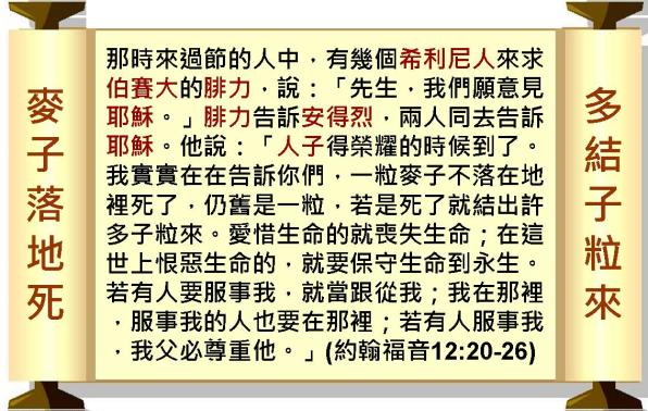 %e6%8a%95%e5%bd%b1%e7%89%8719