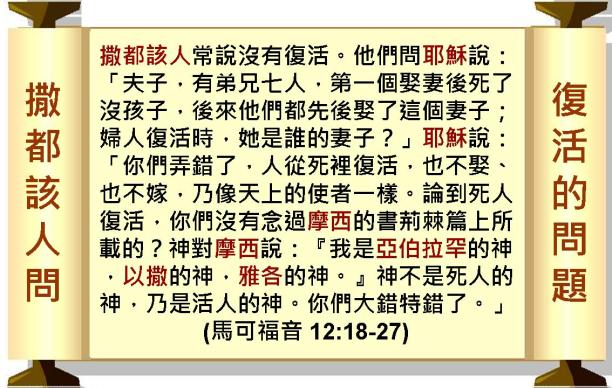 %e6%8a%95%e5%bd%b1%e7%89%8731